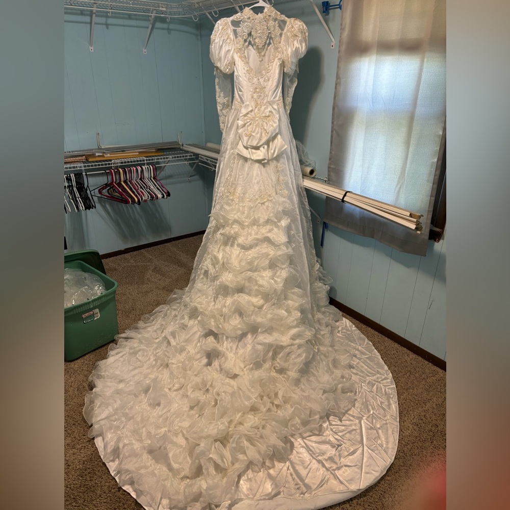 Wedding dress and vail